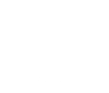 乳製品