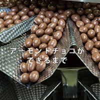 アーモンドチョコができるまで