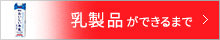 乳製品ができるまで