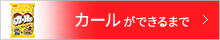 カールができるまで