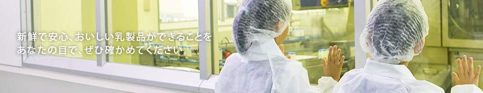 新鮮で安心、おいしい乳製品ができることをあなたの目で、ぜひ確かめてください