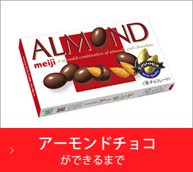 アーモンドチョコができるまで