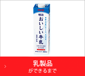 乳製品