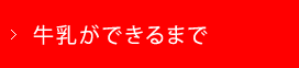 牛乳ができるまで