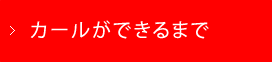 カールができるまで